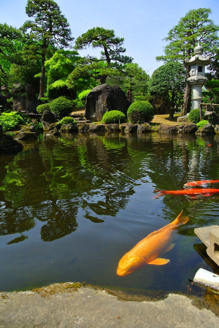Oishi Park, photo 2
