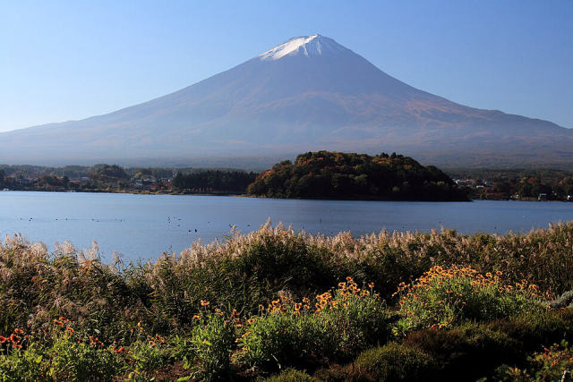 Oishi Park, photo 3
