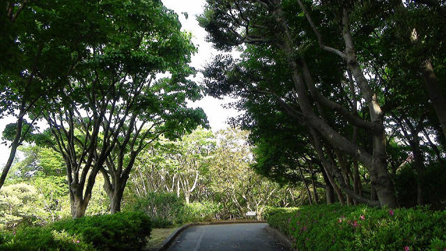 Kairakuen Garden, photo 4