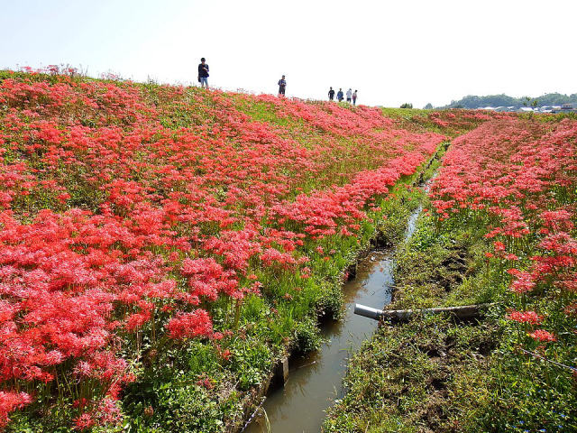 Yakachi River, photo 2