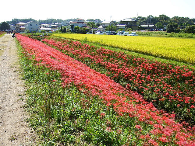 Yakachi River, photo 3