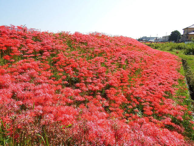 Yakachi River, photo 4