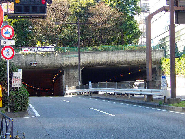 Shinjuku Gyoen (Tokyo), photo 2