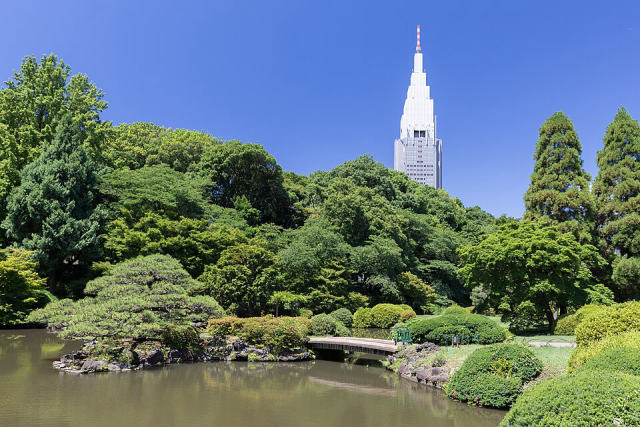 Shinjuku Gyoen (Tokyo), photo 3