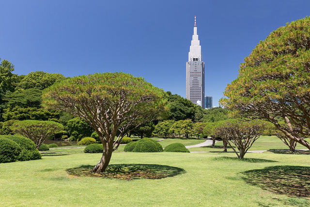 Shinjuku Gyoen (Tokyo), photo 4