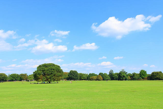 Showa Kinen Park, photo 2