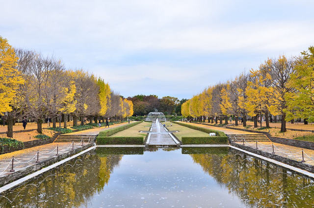 Showa Kinen Park, photo 3