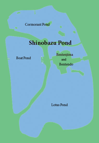 Shinobazu Pond (Ueno), photo 2