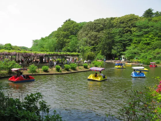 Shimizu Park, photo 2