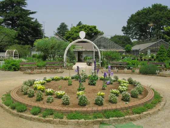 Shimizu Park, photo 2