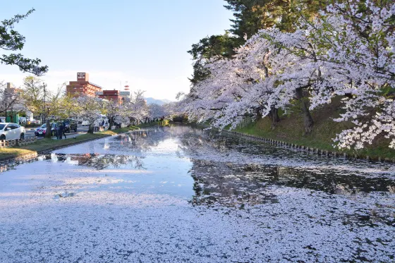 Hirosaki Park (Aomori), photo 3