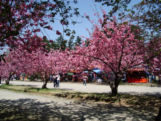 Hirosaki Park (Aomori), photo 4