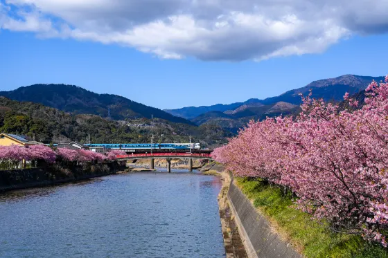 Kawazu River, photo 2