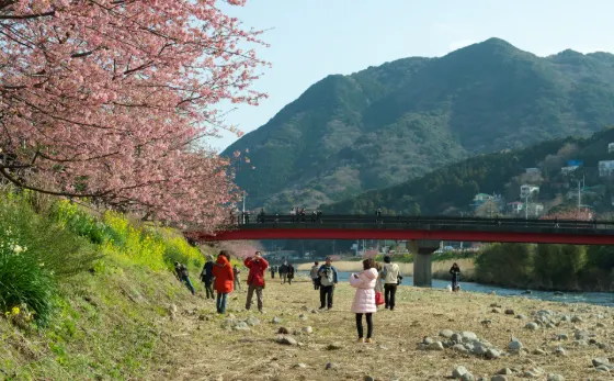 Kawazu River, photo 3