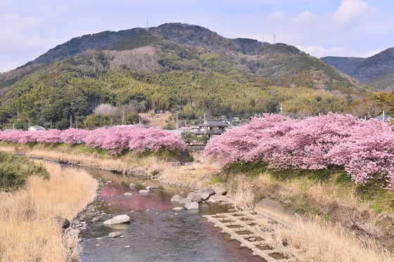 Kawazu River, photo 4