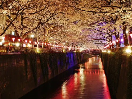 Meguro River, photo 2