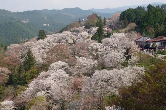 Mount Yoshino, photo 3