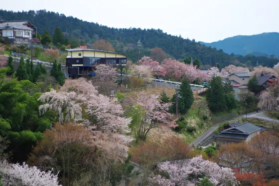 Mount Yoshino, photo 4
