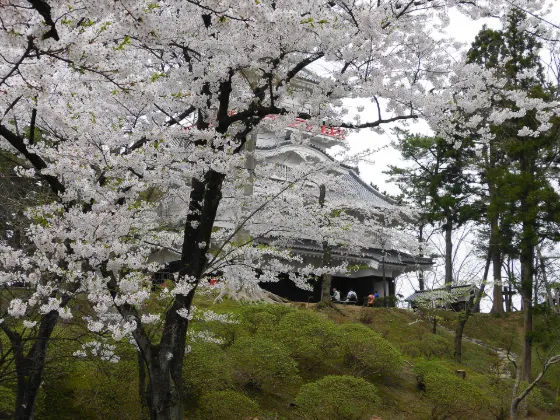 Senshu Park (Akita), photo 2
