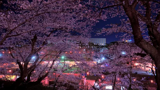 Senshu Park (Akita), photo 3