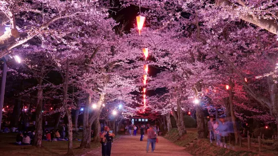 Senshu Park (Akita), photo 4