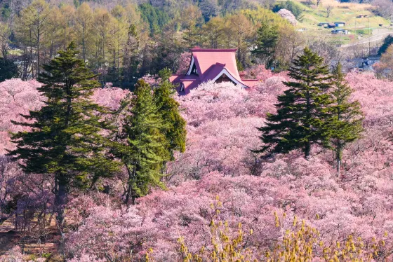 Takato Castle Ruins Park (Nagano), photo 2