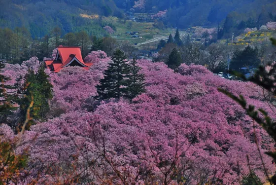 Takato Castle Ruins Park (Nagano), photo 3