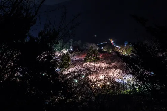 Takato Castle Ruins Park (Nagano), photo 4
