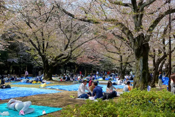 Yoyogi Park, photo 2