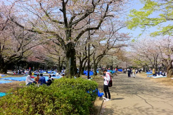 Yoyogi Park, photo 3