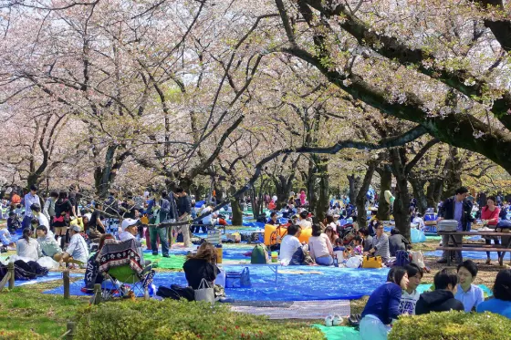 Yoyogi Park, photo 4