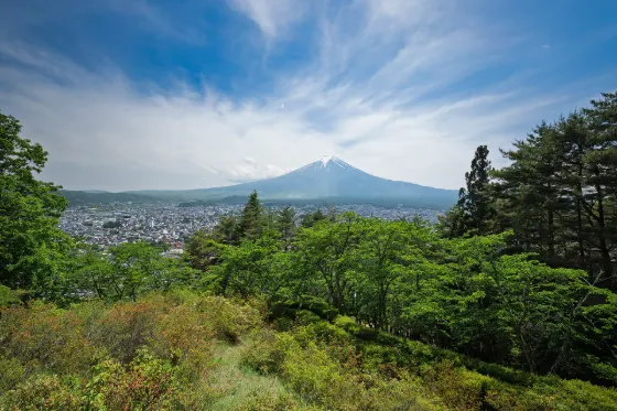 Arakurayama Sengen Park (Chureito Pagoda), photo 3