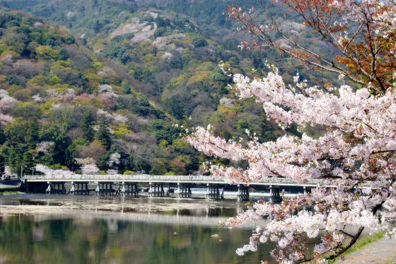 Arashiyama, photo 2