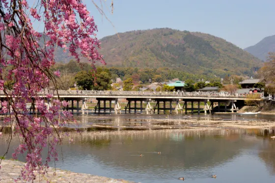 Arashiyama, photo 3