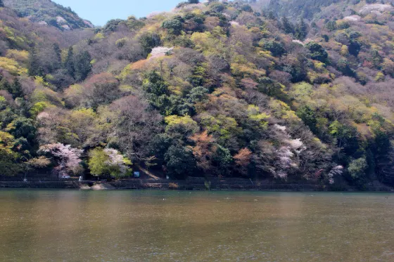 Arashiyama, photo 4