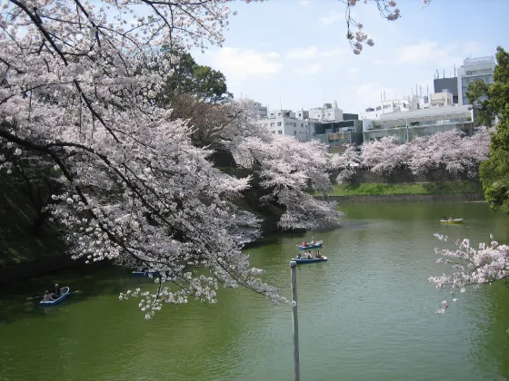 Chidorigafuchi, photo 2