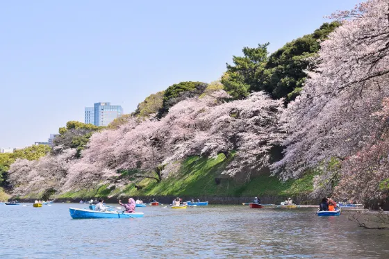 Chidorigafuchi, photo 3