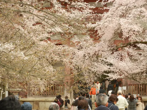 Daigo-ji Temple, photo 4