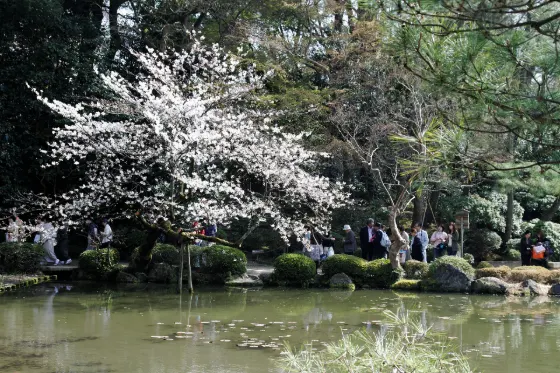 Heian Shrine, photo 4