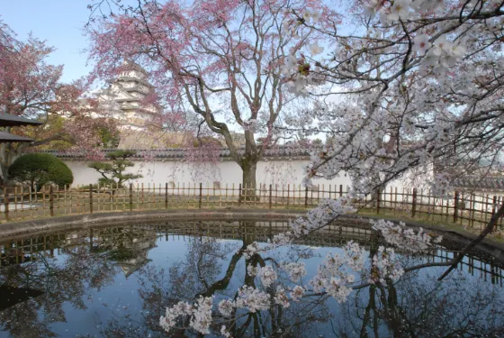 Himeji Castle, photo 3
