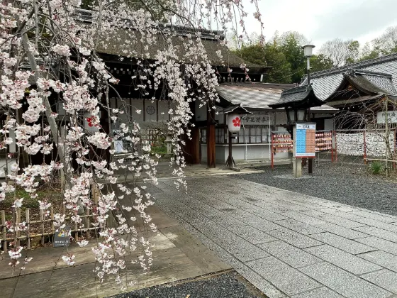 Hirano Shrine, photo 2