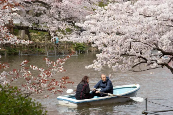 Inokashira Park, photo 4