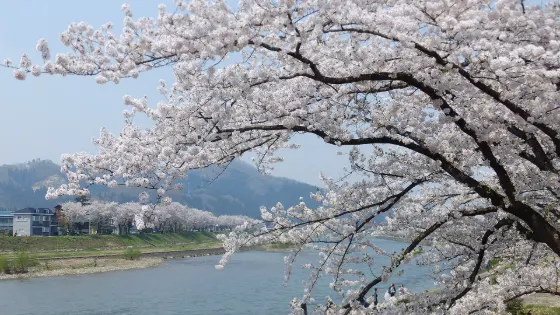 Kakunodate Samurai District, photo 2