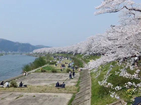 Kakunodate Samurai District, photo 3