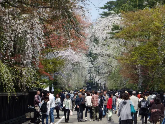 Kakunodate Samurai District, photo 4
