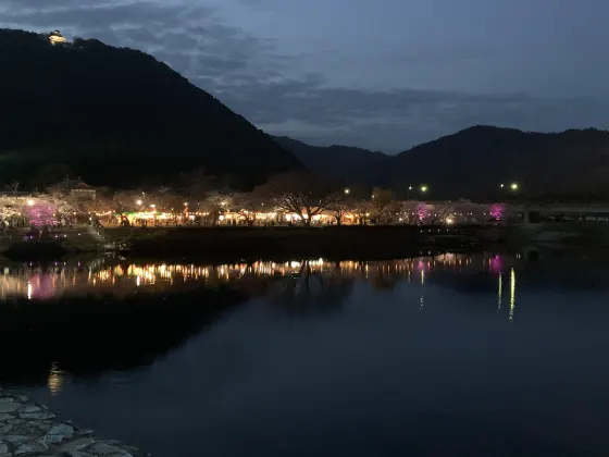 Kintaikyo Bridge (Kikko Park), photo 4