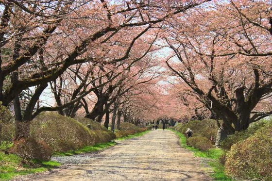 Kitakami Tenshochi, photo 4