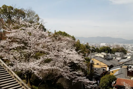 Kiyomizu-dera Temple, photo 3