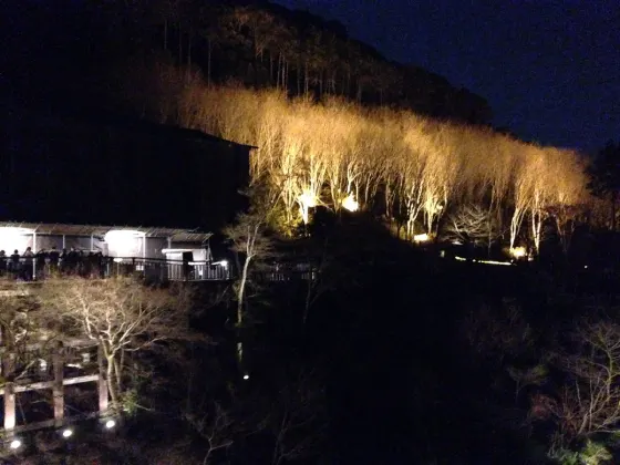 Kiyomizu-dera Temple, photo 4