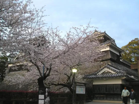 Kumamoto Castle, photo 2